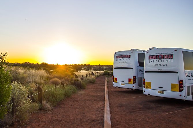 Uluru Experience with BBQ Dinner - The sunset barbecue: generous food, sparkling wine, and flies
