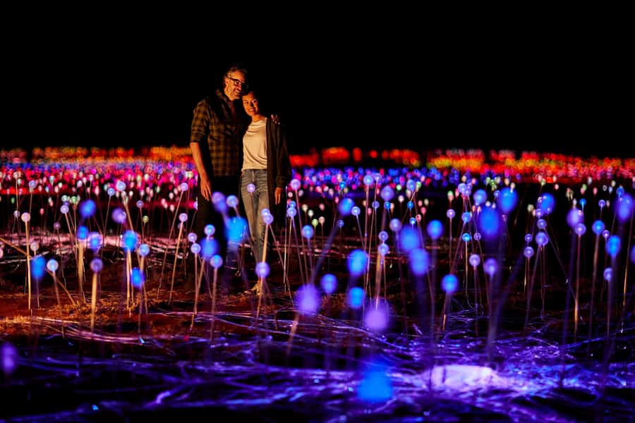 Uluru: Field of Light Sunrise Tour with Hot Drinks - Key points to know before you book