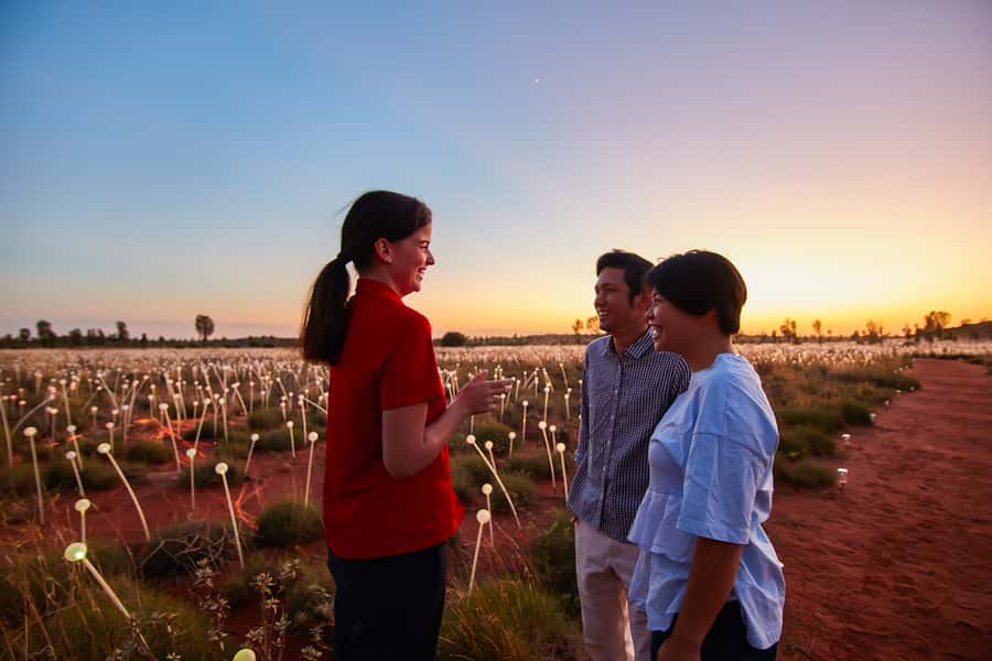 Uluru: Field of Light Sunrise Tour with Hot Drinks - Walking through 50,000 lights in the dark