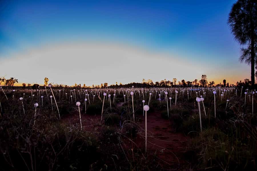 Uluru: Field of Light Sunrise Tour with Hot Drinks - Dune Top and the changing colors of Uluru