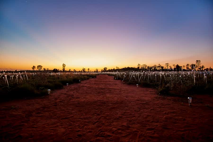 Uluru: Field of Light Sunrise Tour with Hot Drinks - Guide quality and the value of a short tour