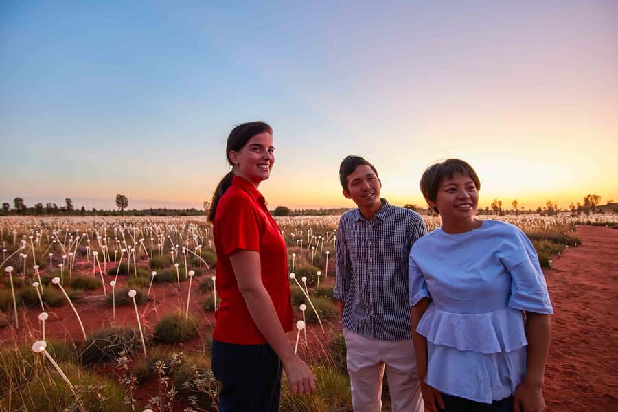 Uluru: Field of Light Sunrise Tour with Hot Drinks - Who will get the most from this experience