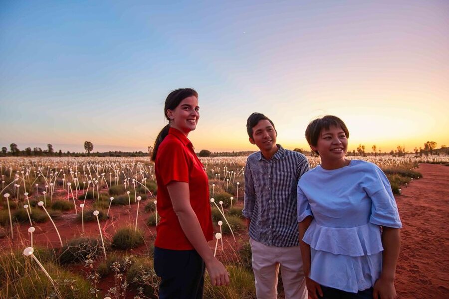 Uluru: Field of Light Sunrise Tour with Hot Drinks - Practical details that make the morning easier