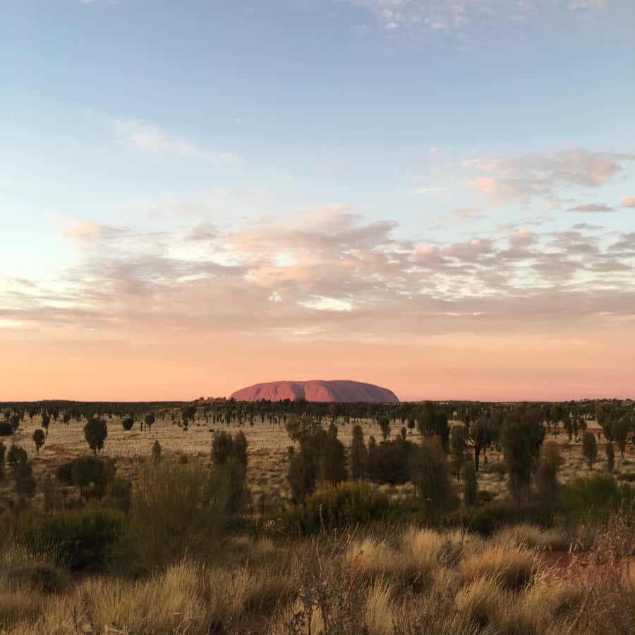 Uluru: Field of Light Sunrise Tour with Hot Drinks - The pre-dawn ride from Yulara