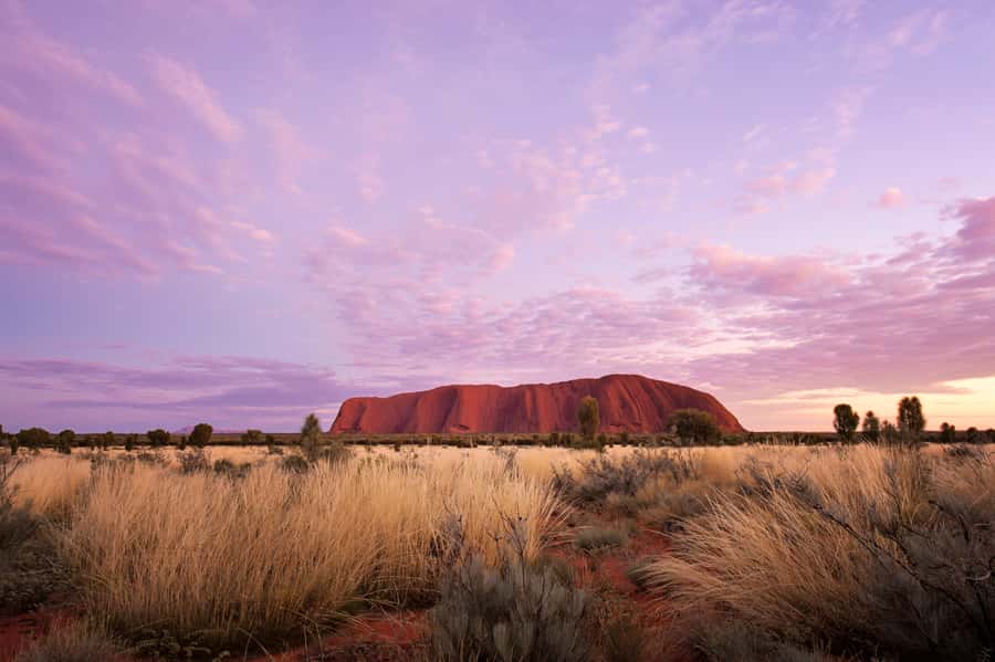 Uluru: Sacred Sites & Sunset Tour with Wine & Cheeseboard - Should you book it?