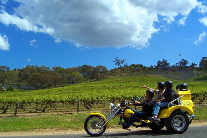 Unique Trike Barossa Valley Half Day Private Tour For 2 - Tony’s local view of the valley
