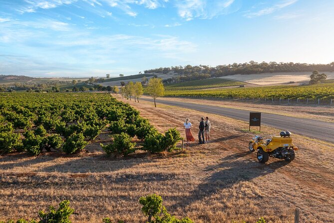 Unique Trike Barossa Valley Half Day Private Tour For 2 - A route built around wine, food, or both