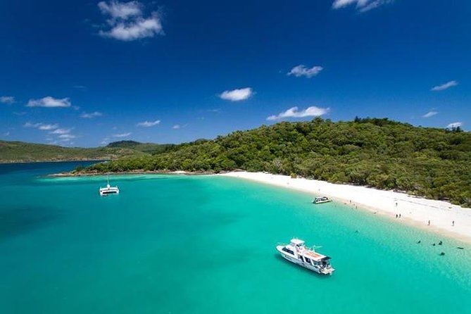 Viper: Great Barrier Reef Snorkel Including Whitehaven Hill Inlet - Hill Inlet and the view from above