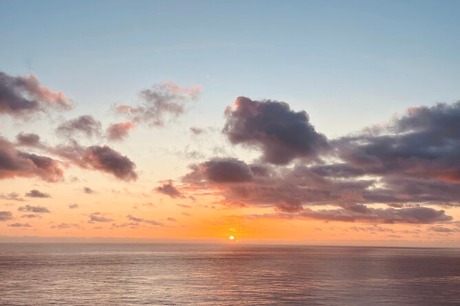 WANDER BYRON Guided Sunrise Tours to Cape Byron Lighthouse - Returning through the conservation area