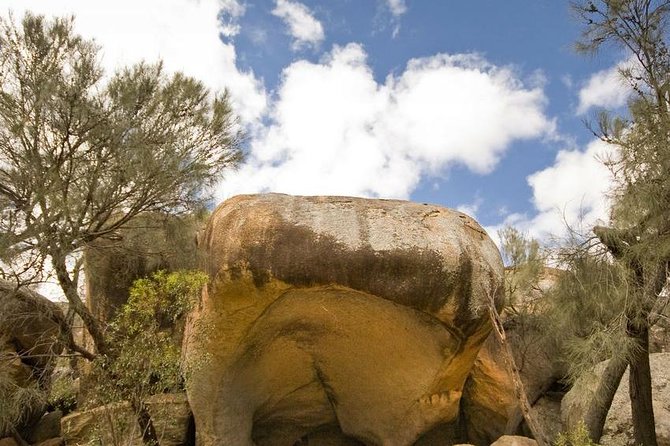 Wave Rock, York and Aboriginal Cultural Day Tour from Perth - A country lunch and a choice near Wildflower Shoppe