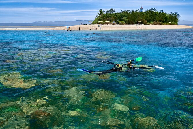 Wavedancer Low Isles Great Barrier Reef Sailing Cruise from Cairns - Why Low Isles makes a good first reef day