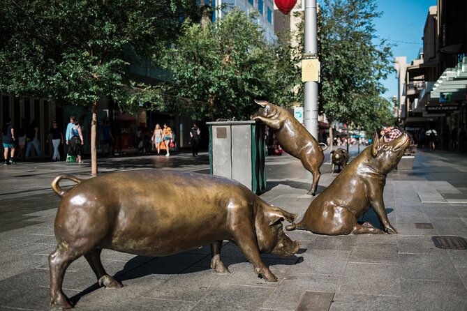 Welcome to Adelaide Walking Tour - Rundle Mall’s pigs and everyday Adelaide