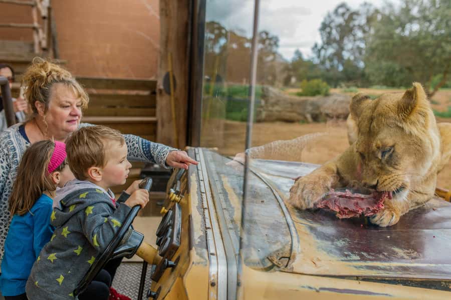 Werribee Open Range Zoo: Entry Ticket - Key points before you go