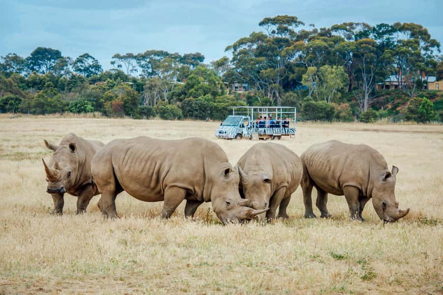 Werribee Open Range Zoo: Entry Ticket - Australian Journey adds local wildlife to the day
