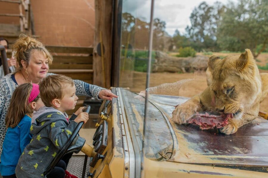 Werribee Open Range Zoo: Entry Ticket - Who will enjoy Werribee most?
