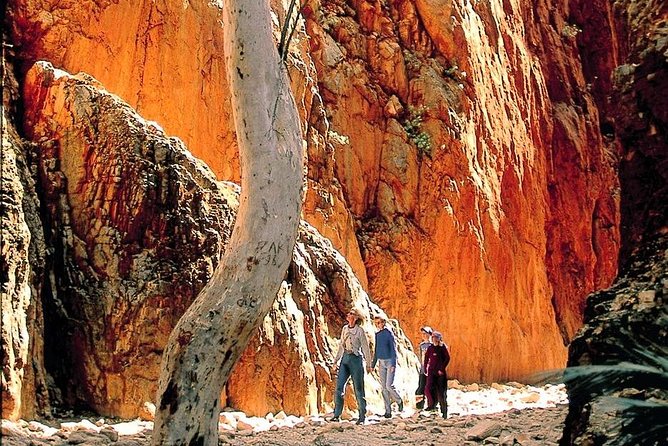 West MacDonnell Ranges Day Trip from Alice Springs - Standley Chasm adds texture and shade