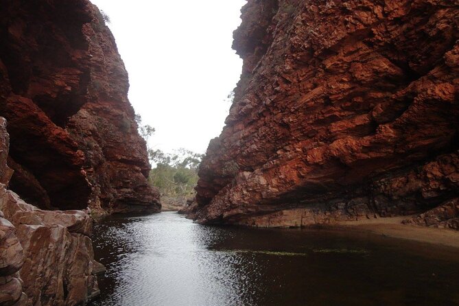 West MacDonnell Ranges Half day Tour -Small Group - Five things to know before you book