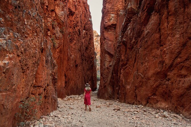 West MacDonnell Ranges Half day Tour -Small Group - Simpsons Gap brings the red-rock drama