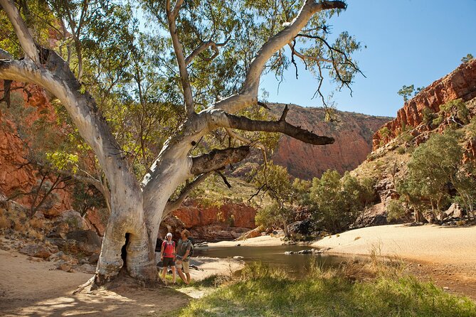 West MacDonnell Ranges & Standley Chasm Day Trip from Alice Springs - Starting from Alice Springs at 7:00 am