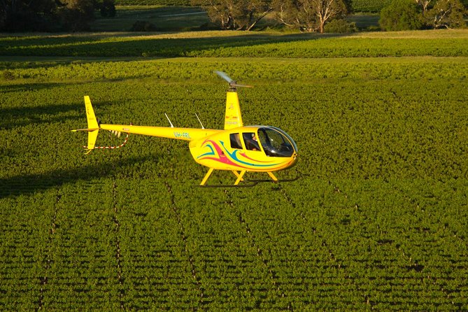 Western Ridge & Valley Floor: 20-Minute Helicopter Flight - The preflight photo and safety briefing