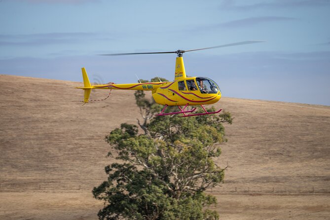 Western Ridge & Valley Floor: 20-Minute Helicopter Flight - Why the helicopter perspective is worth considering