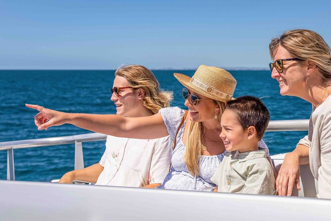 Whale Watching by Sea World Cruises - More than humpbacks: dolphins, turtles, and seabirds