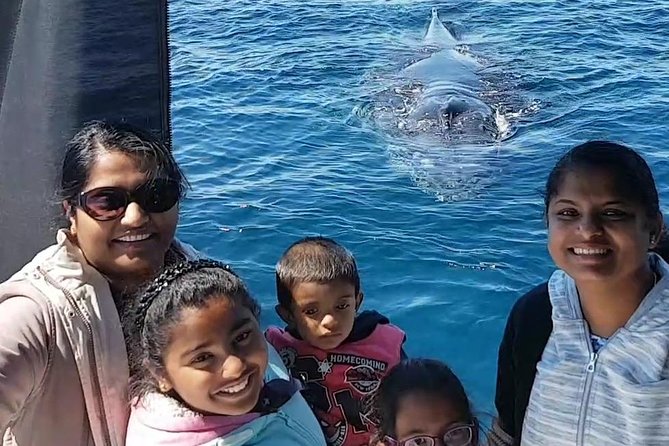 Whale Watching Dunsborough - Who Will Like This Cruise