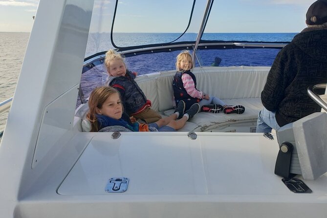 Whale Watching from Augusta in Western Australia - Tradewind 3 gives you four ways to watch