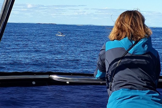Whale Watching from Augusta in Western Australia - Booking timing, group size, and cancellation