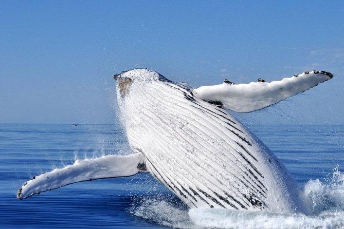 Whale Watching from Augusta in Western Australia - The Augusta Boat Harbour start at 10:15 am