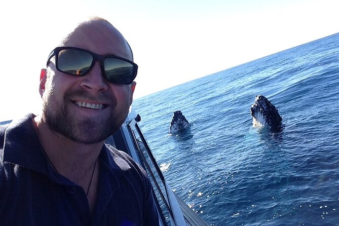 Whale Watching in Coffs Harbour - What to bring and how to prepare