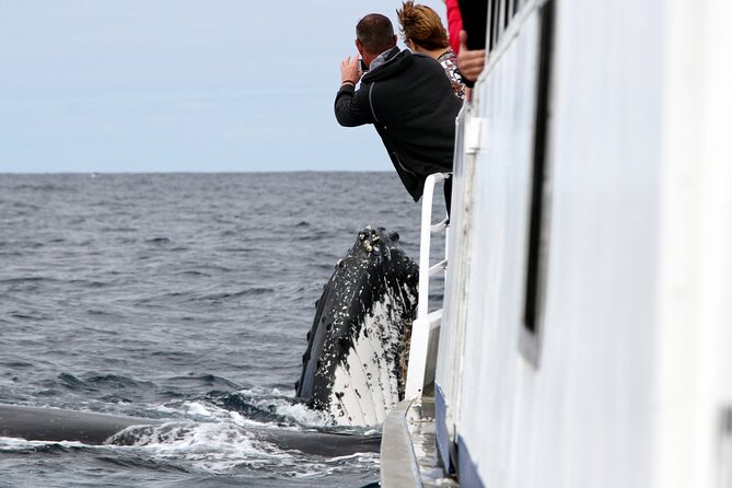 Whale Watching Tour with Spirit of Gold Coast - Setting Out From Southport