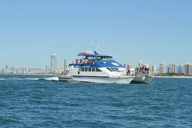 Whale Watching Tour with Spirit of Gold Coast - How the Whale Guarantee Works