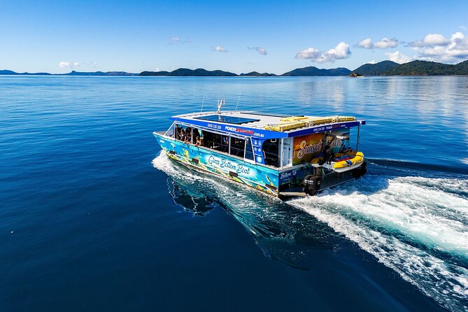 Whisper Cruises - One-Hour Turtle Spotting Bay Cruise - How the electric boat changes the experience