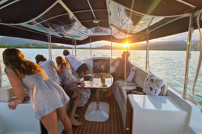 Whisper Cruises - One-Hour Turtle Spotting Bay Cruise - Who should book this cruise?