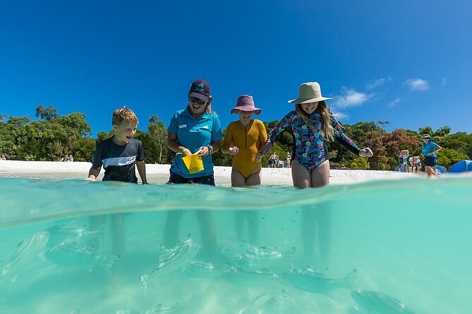 Whitehaven Beach and Hamilton Island Cruise from Airlie Beach - Is the $139.67 price fair?