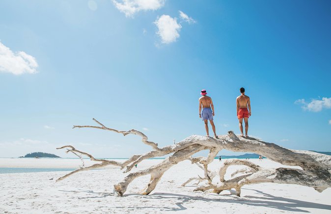 Whitehaven Beach and Hill Inlet Day Trip: Chill and Grill - What the $200.11 price buys you