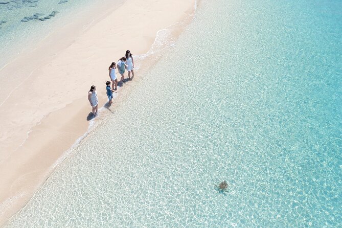 Whitehaven Beach and Hill Inlet Lookout Snorkeling Cruise - Who should book this cruise