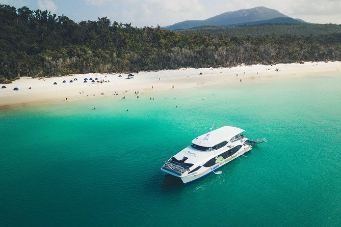 Whitehaven Beach Morning or Afternoon Tour - Who will enjoy this trip most?