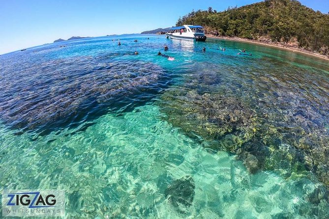 Whitehaven Beach Tour: 2 Options - All Day Beach Or Snorkel - Lunch, snacks, and the practical comfort level
