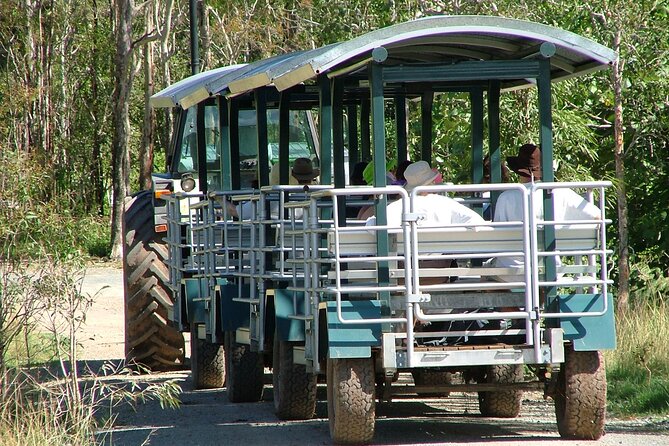 Whitsunday Crocodile Safari - Key things to know before you book