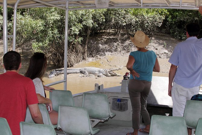 Whitsunday Crocodile Safari - Damper and billy tea set the tone