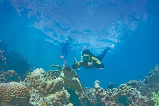 Whitsunday Islands Sail, SUP & Snorkel Tour- Small group - The morning sail sets the pace