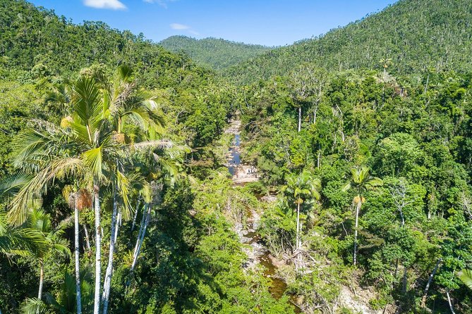 Whitsunday Segway Rainforest Discovery Tour - Why this rainforest ride is worth your morning