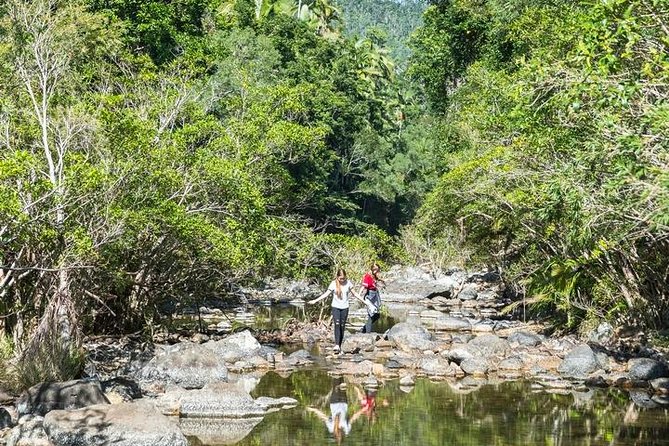 Whitsunday Segway Rainforest Discovery Tour - The creek stop and a surprisingly generous morning tea