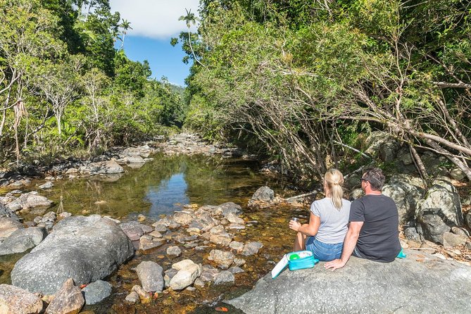 Whitsunday Segway Rainforest Discovery Tour - Who should book this Airlie Beach activity?