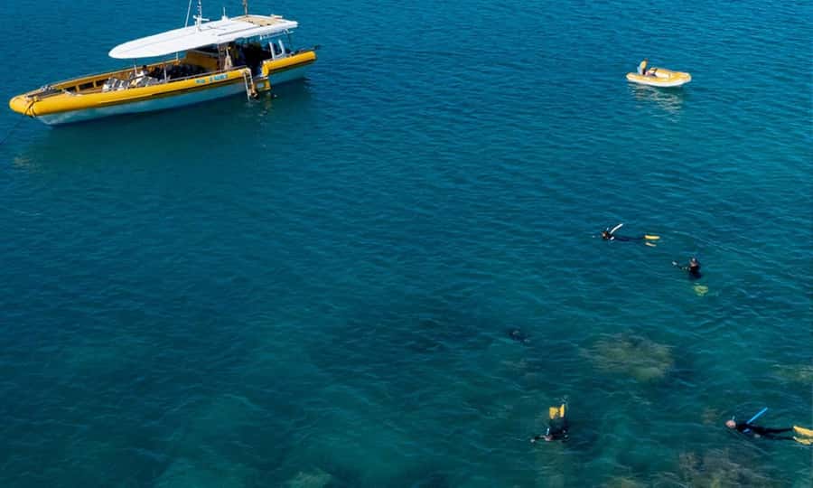 Whitsunday: Whitsunday Islands Tour with Snorkeling & Lunch - Practical details that make the day easier