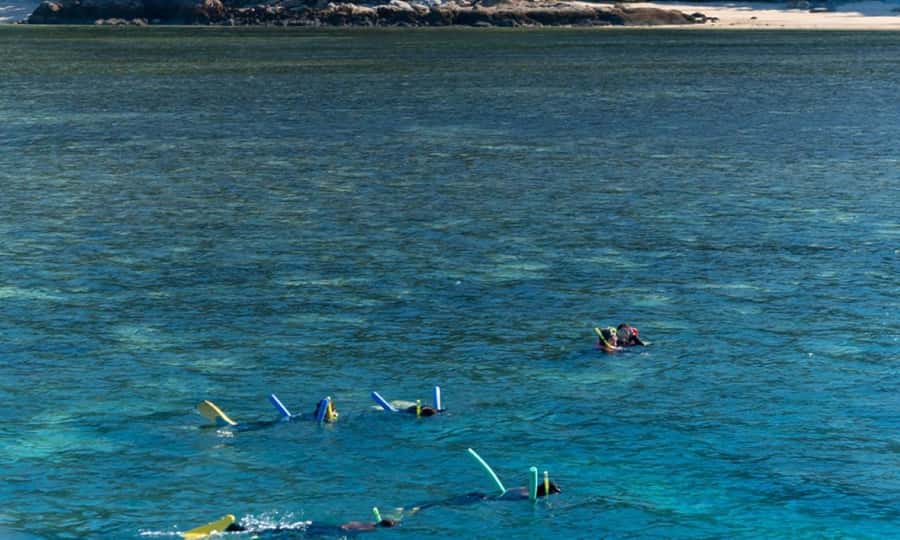 Whitsunday: Whitsunday Islands Tour with Snorkeling & Lunch - A crew that keeps the day lively