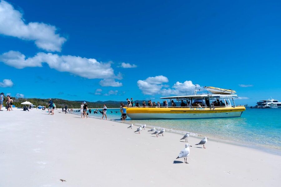 Whitsunday: Whitsunday Islands Tour with Snorkeling & Lunch - Whales from July to September