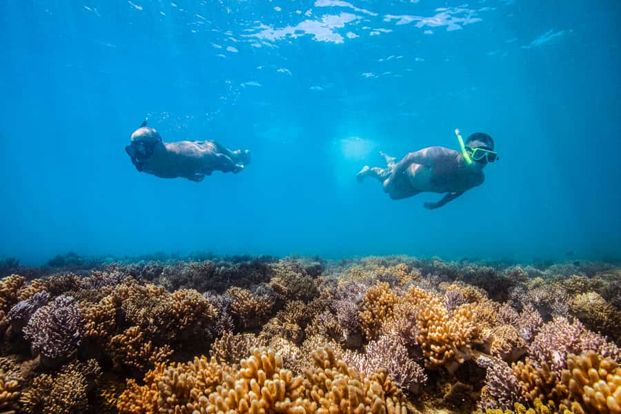 Whitsundays Sailing & Snorkelling Day Tour – All Inclusive - What the $126 price really covers
